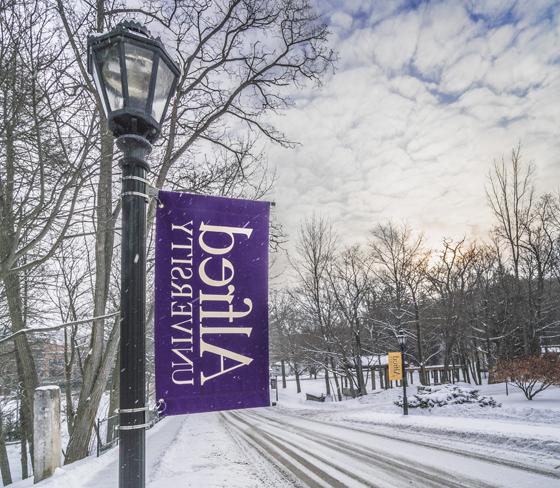 Alfred University street pole banner